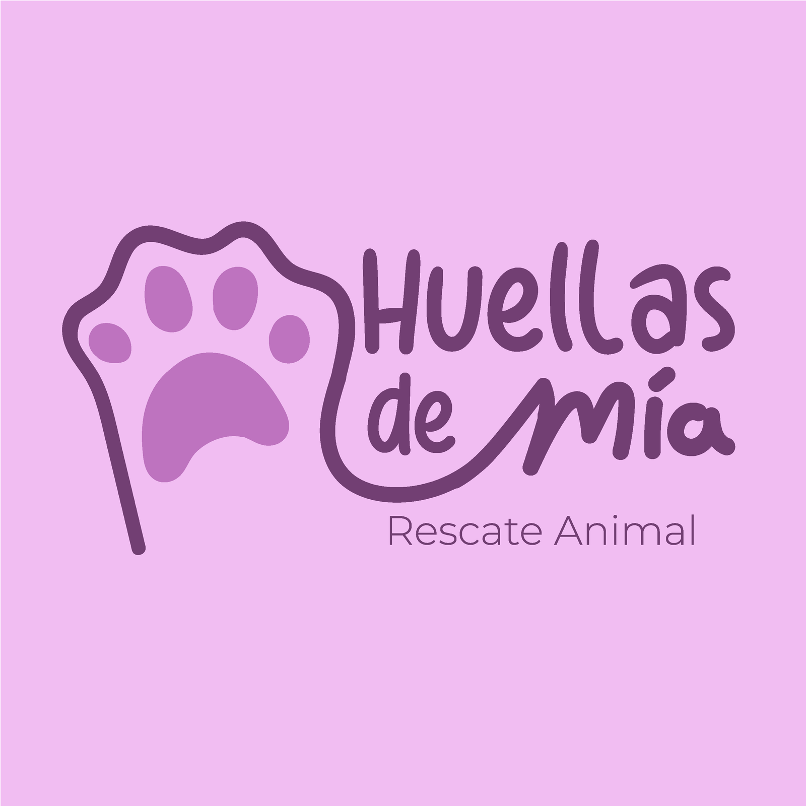 Galería Huellas de Mia 3